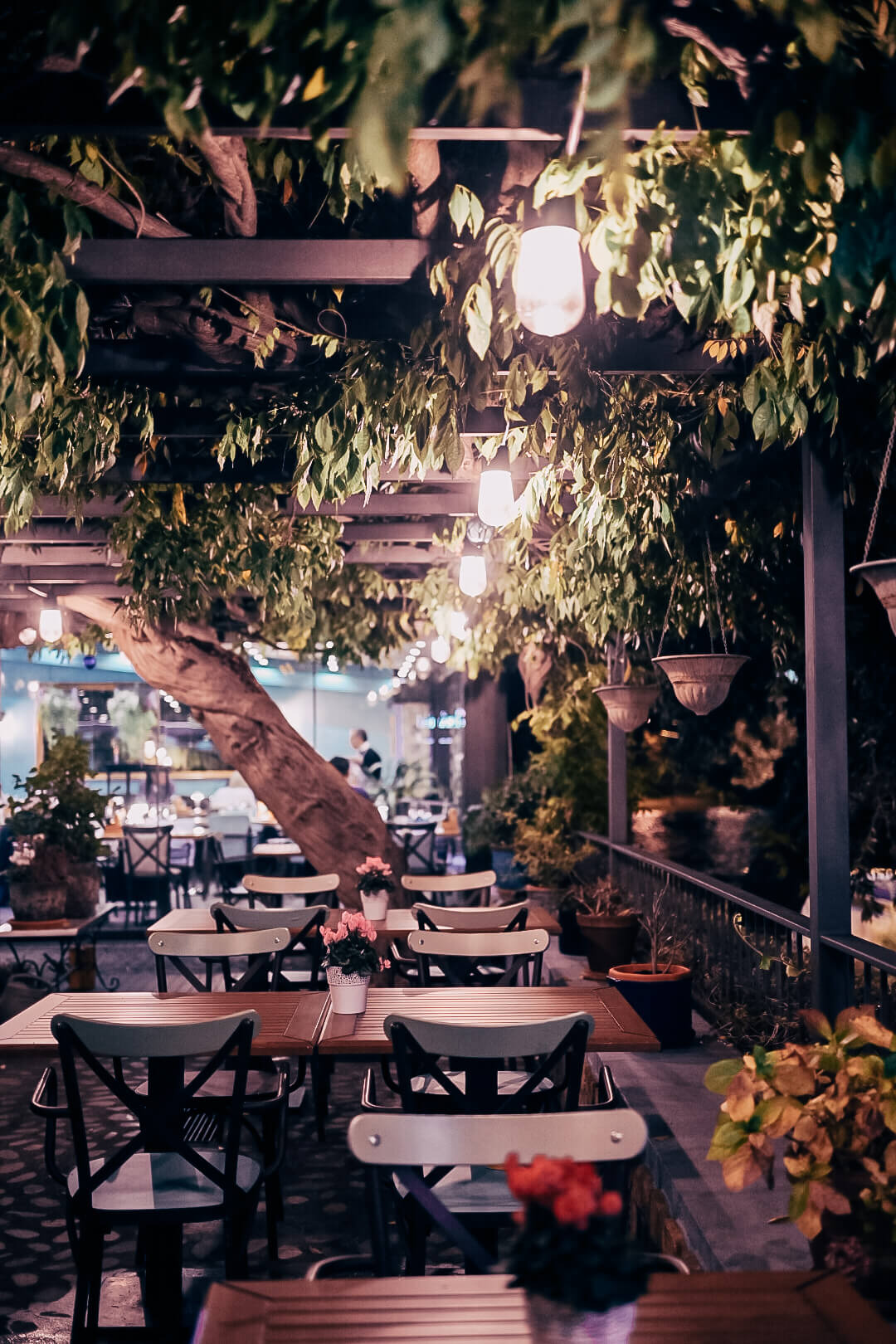 Ostaria Veranda Ambient 7